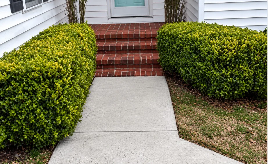 Clean light concrete walkway after pressure washing, leading to brick steps and a white house with a teal front door